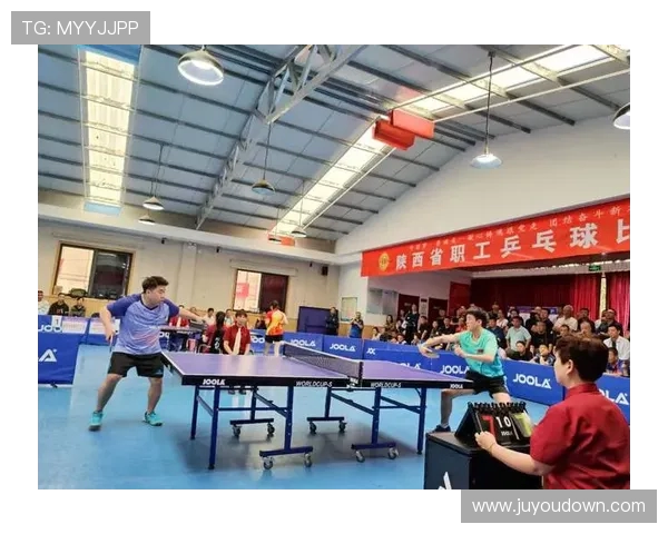 乒乓球的梦想与坚持：西安乒乓球队成长历程的真实记录与感悟