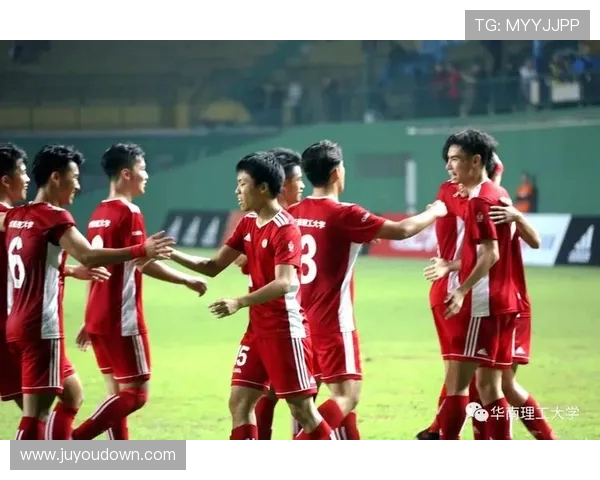 南京足球队在冠军赛中的战术布局与表现分析