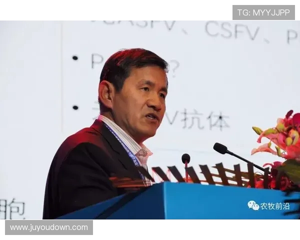 吴敏专访：从乒乓球新星到世界冠军的奋斗与成长之路