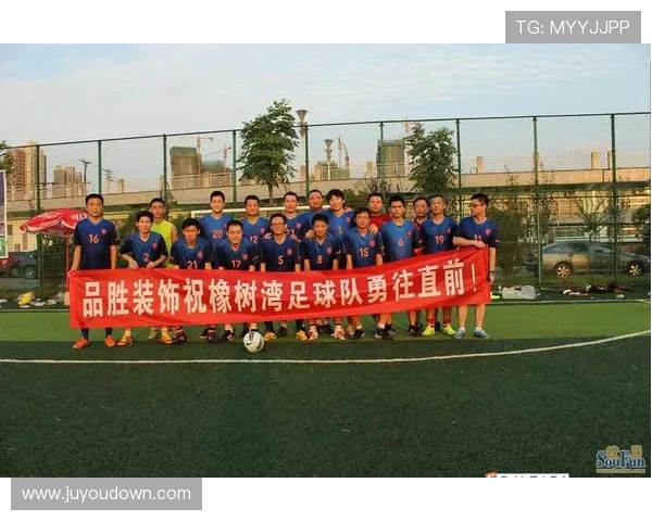 南京飞盘队灵活性分析与其他队伍的对比研究