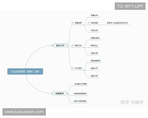 杭州排球队在邀请赛中的团队协作表现分析与点评