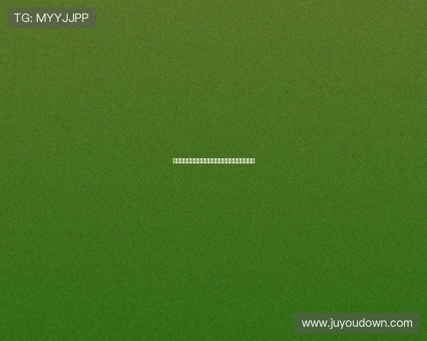 深圳排球队运营分析：成败得失与未来发展方向探讨