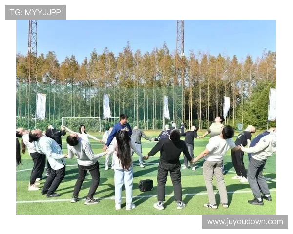 深圳飞盘队的灵活性探秘与战术创新之路