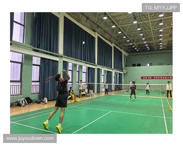 羽毛球战术解析：杭州羽毛球队的阵地战体系与实战应用探讨