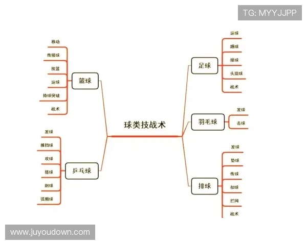 西安排球队的节奏体系与排球战术的深度解析与应用探讨
