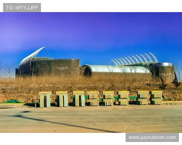 回顾2001年天津泰达与山东鲁能的经典对决与历史意义