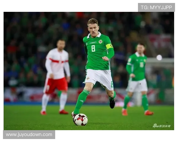 爱尔兰与瑞士足球对决比分预测及战术分析详解