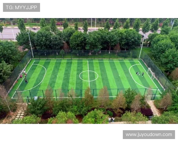 重磅专题：探秘西安乒乓球队包夹战术的创新与发展之路