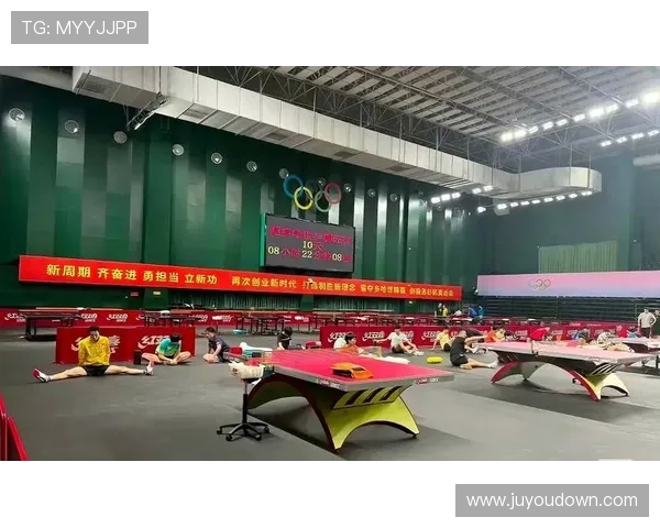 成都乒乓球队意识对比深度解析与未来发展趋势探讨